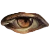 👁