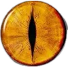👁