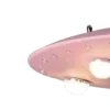 🛸