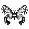 🦋