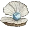 🐚