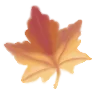 🍁