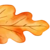 🍁