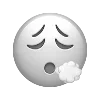 😮‍💨