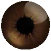 👁