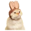 😹