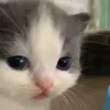 🙂