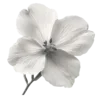 🌼