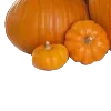 🎃