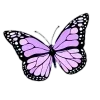 💜