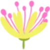 💐