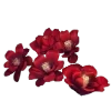 🌺