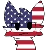 🇺🇸