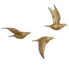🐦