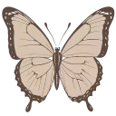 🦋