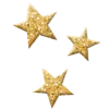 🌟