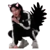 🐱