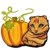 🎃
