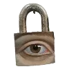 🔒