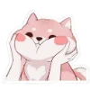 😻