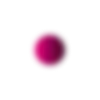 🟣