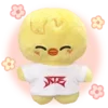🐤
