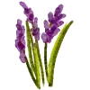 💐