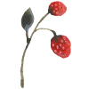 🍓