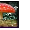 🍄