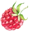 🍓