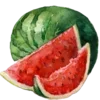 🍉