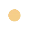 🟡