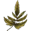 🍃