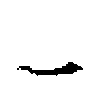 👁