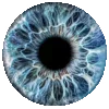 👁