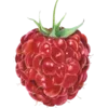 🍓