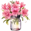 🌺