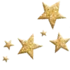 ✨