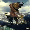 🦅