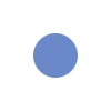 🔵
