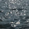 🌊