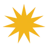 🌟