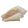 🐚