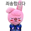 🐷