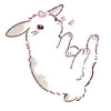 🐰
