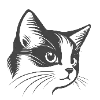 🐱