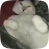 ✋
