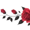 🌹