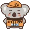 🐨
