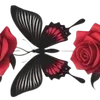 🌹